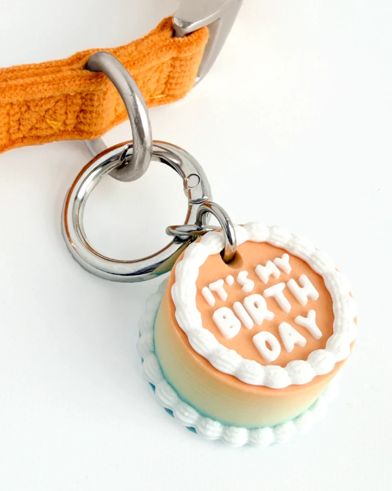 Vintage Birthday Cake Pet Tag - Image 4