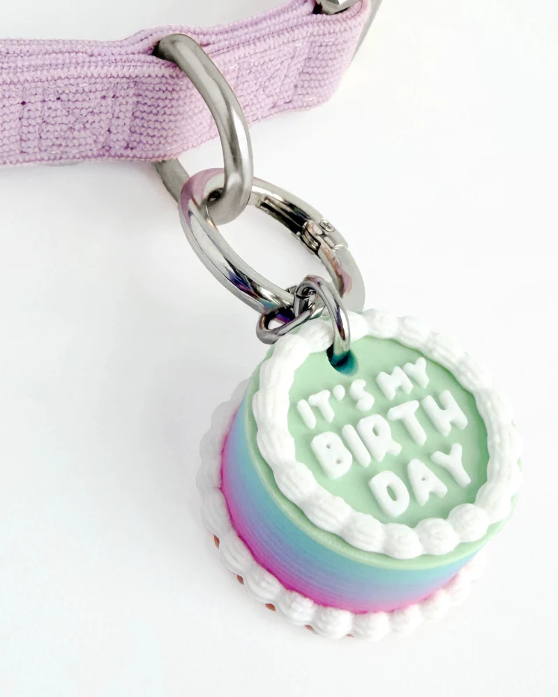 Vintage Birthday Cake Pet Tag - Image 5