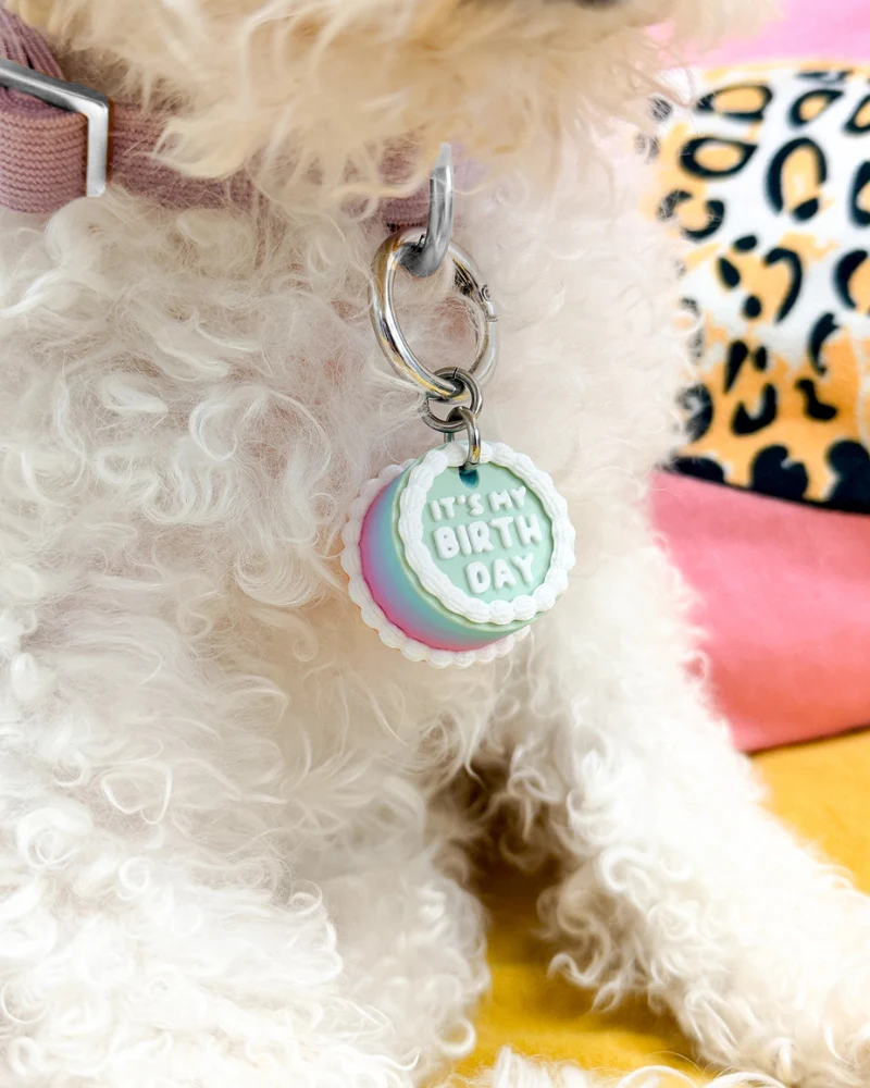 Vintage Birthday Cake Pet Tag - Image 6