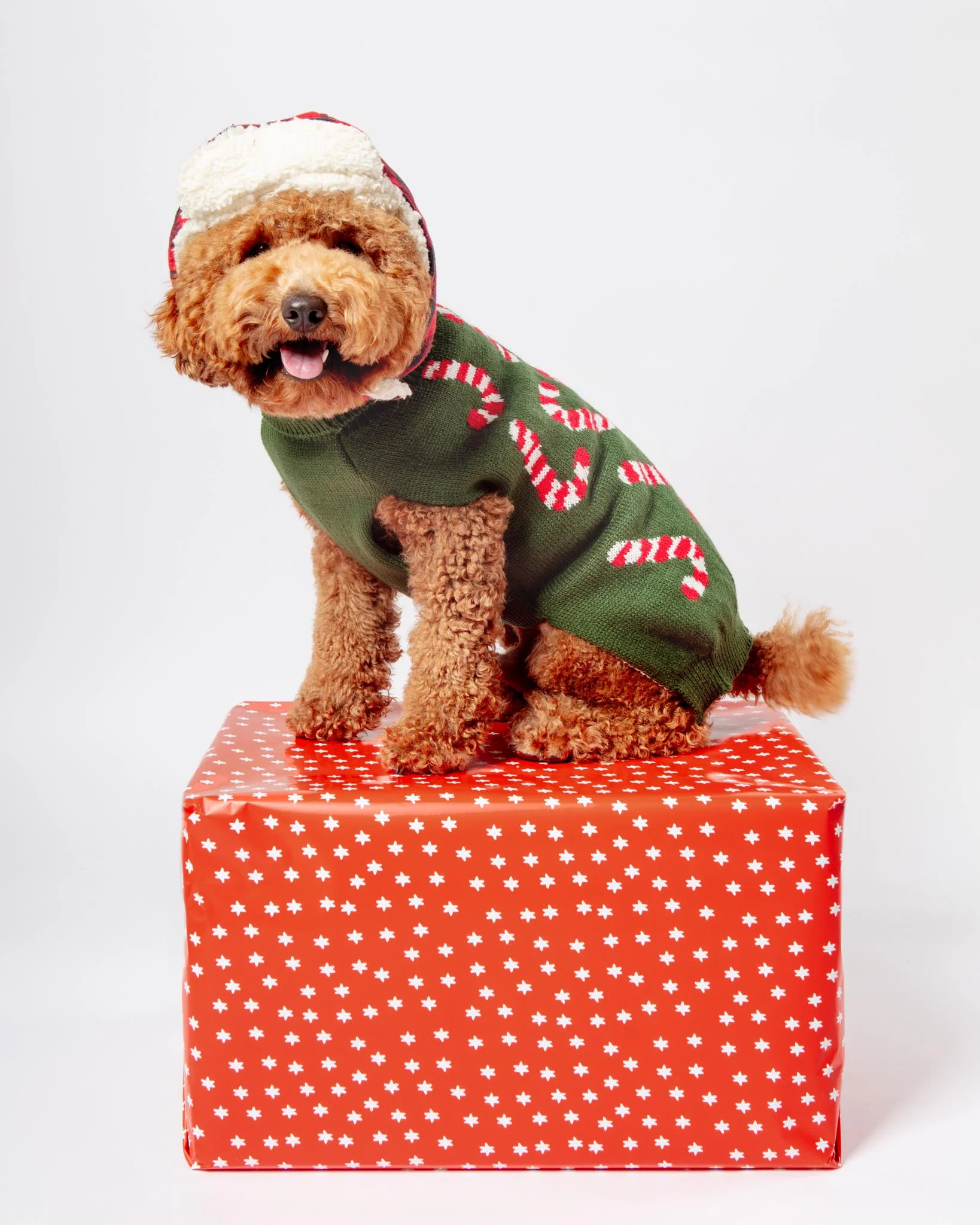 Vintage Candy Cane Holiday Dog Sweater - Image 3