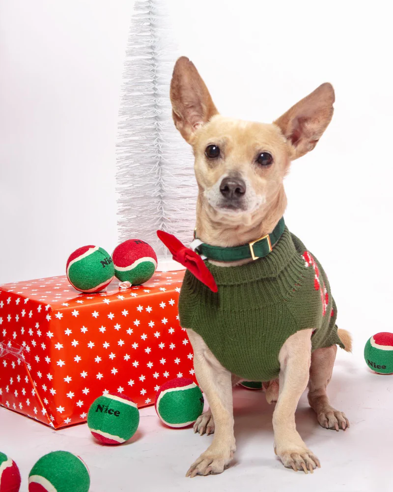 Vintage Candy Cane Holiday Dog Sweater - Image 4