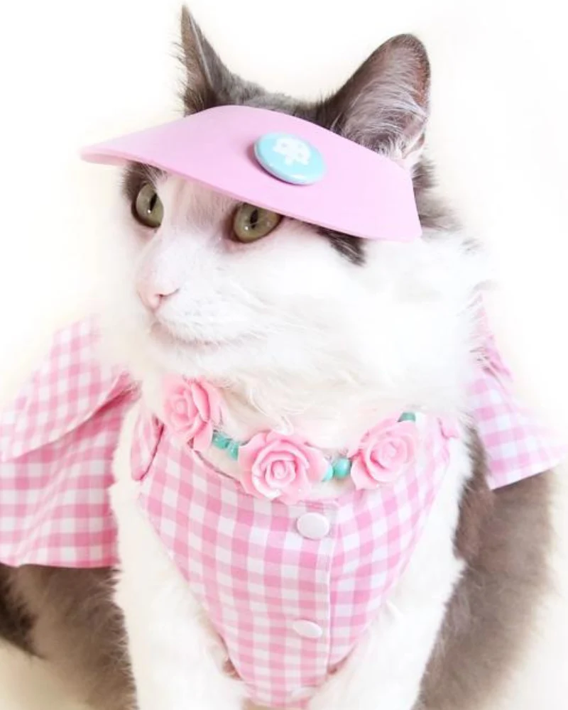 Visor Pet Hat in Pink (Made in the USA) - Image 2