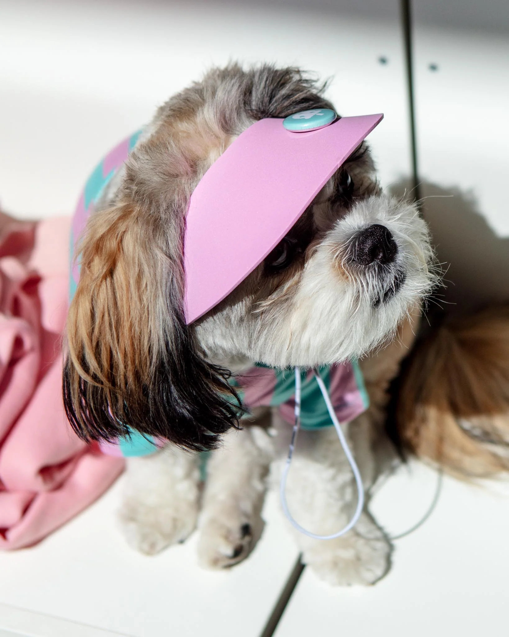 Visor Pet Hat in Pink (Made in the USA) - Image 4