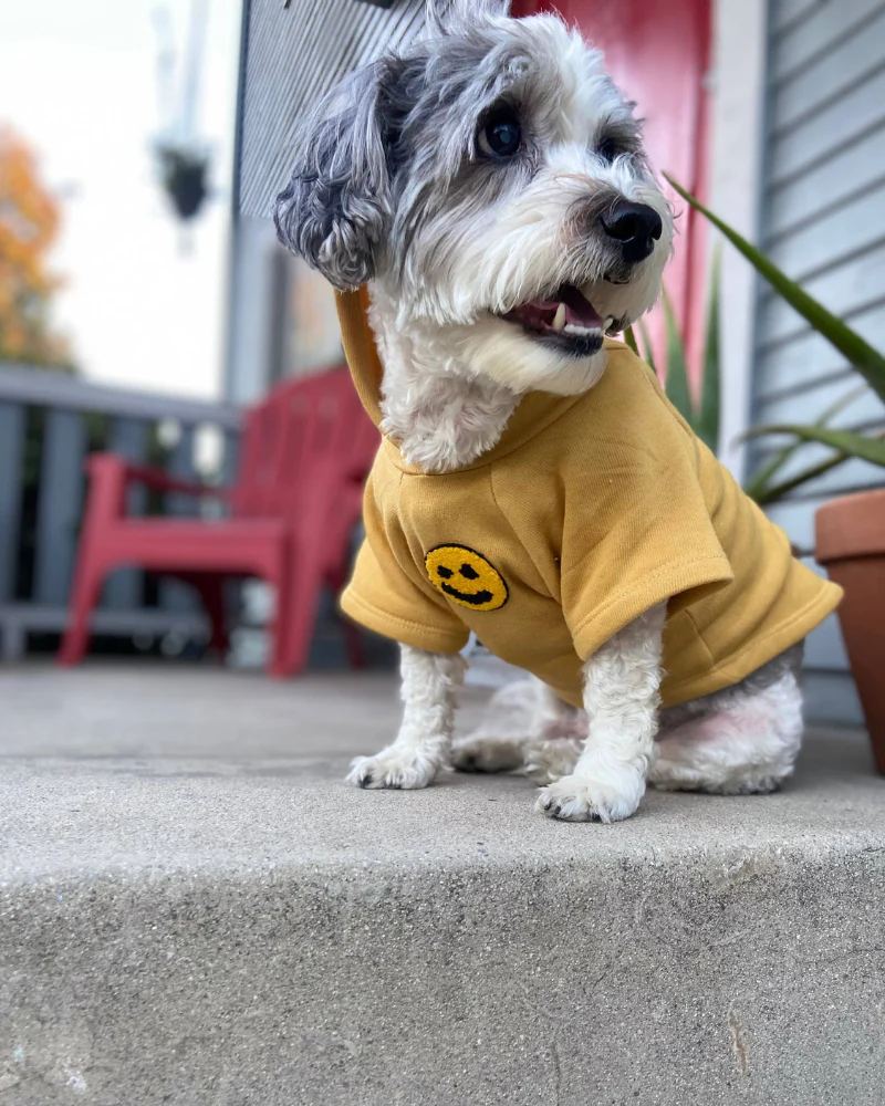 Have A Nice Day Dog Hoodie in Yellow (Made in the USA)<br>(FINAL SALE) - Image 4