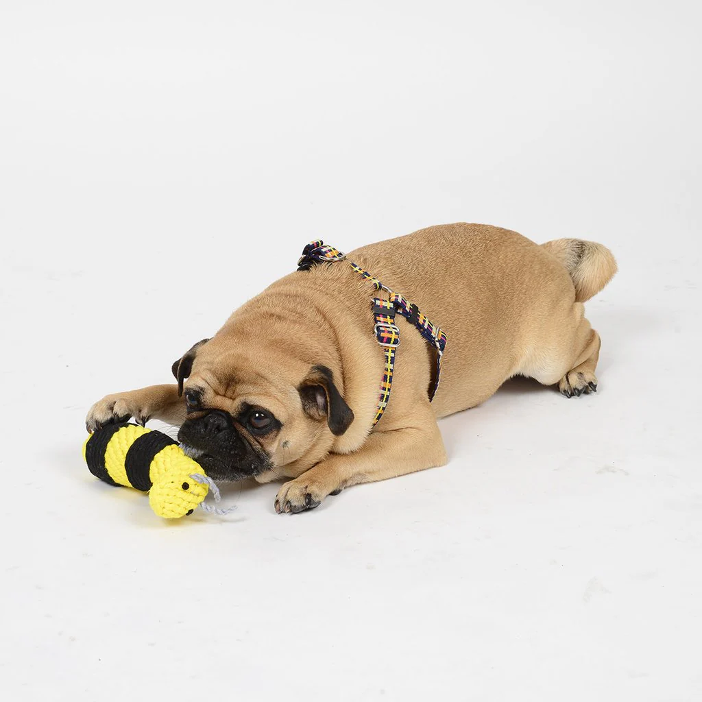 WAGGO | Buzzy Bumble Bee Toy - Image 2
