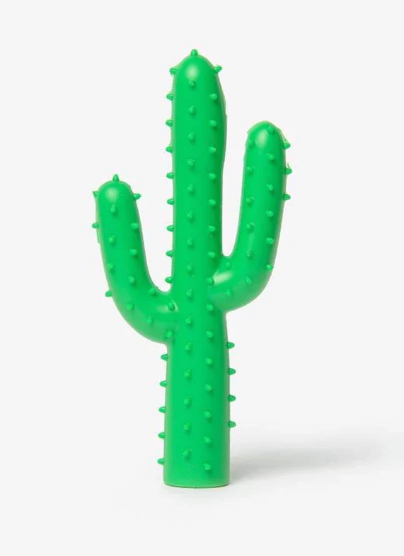 Silly Succulent Cactus Rubber Dog Toy - Image 2