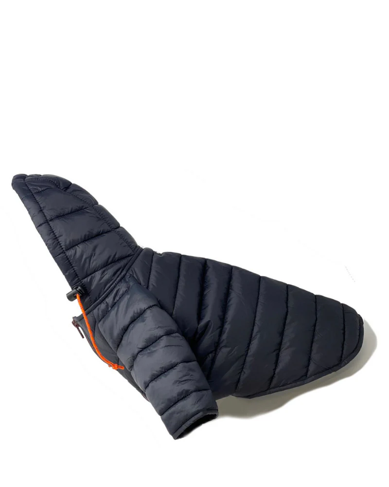 Dog Puffer Jacket in Black << FINAL SALE >> - Image 3