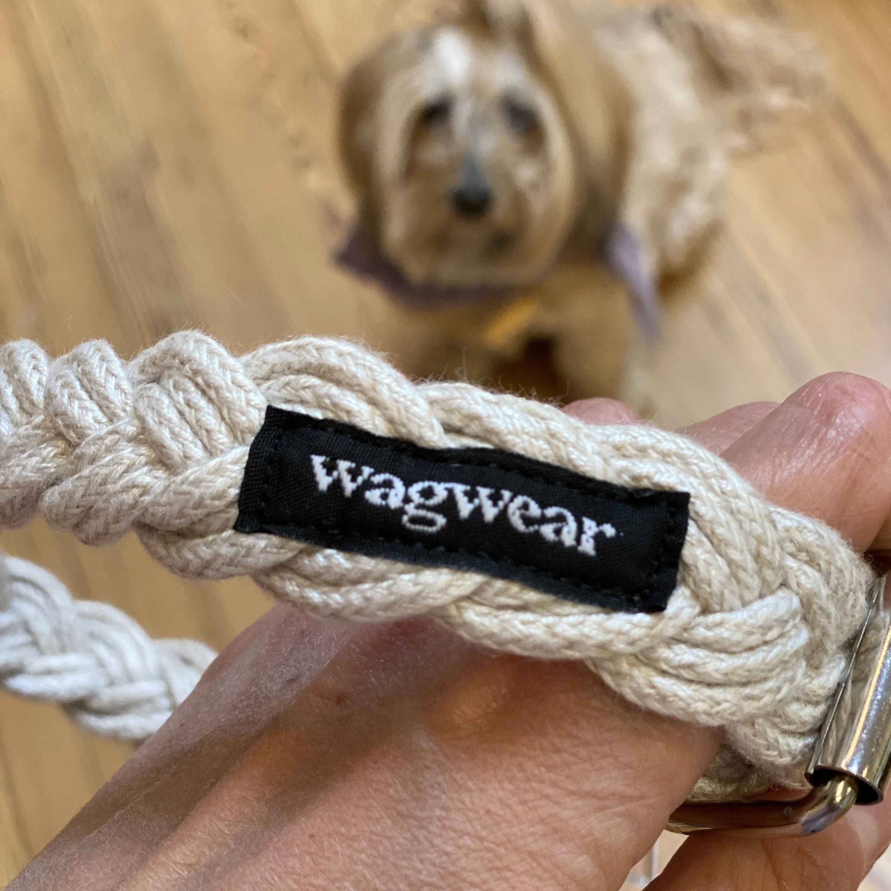 Braided Fisherman Dog Collar in Off-White (Made in the USA) - Image 3