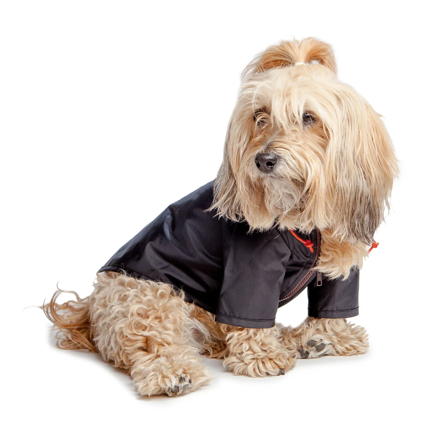 WAGWEAR | Nylon Rainbreaker in Black - Image 4