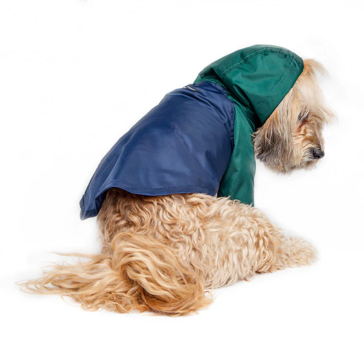 Nylon Colorblock Dog Rainbreaker in Hunter Green & Navy (Exclusive to DOG & CO.) - Image 5
