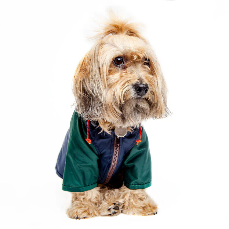 Nylon Colorblock Dog Rainbreaker in Hunter Green & Navy (Exclusive to DOG & CO.) - Image 8