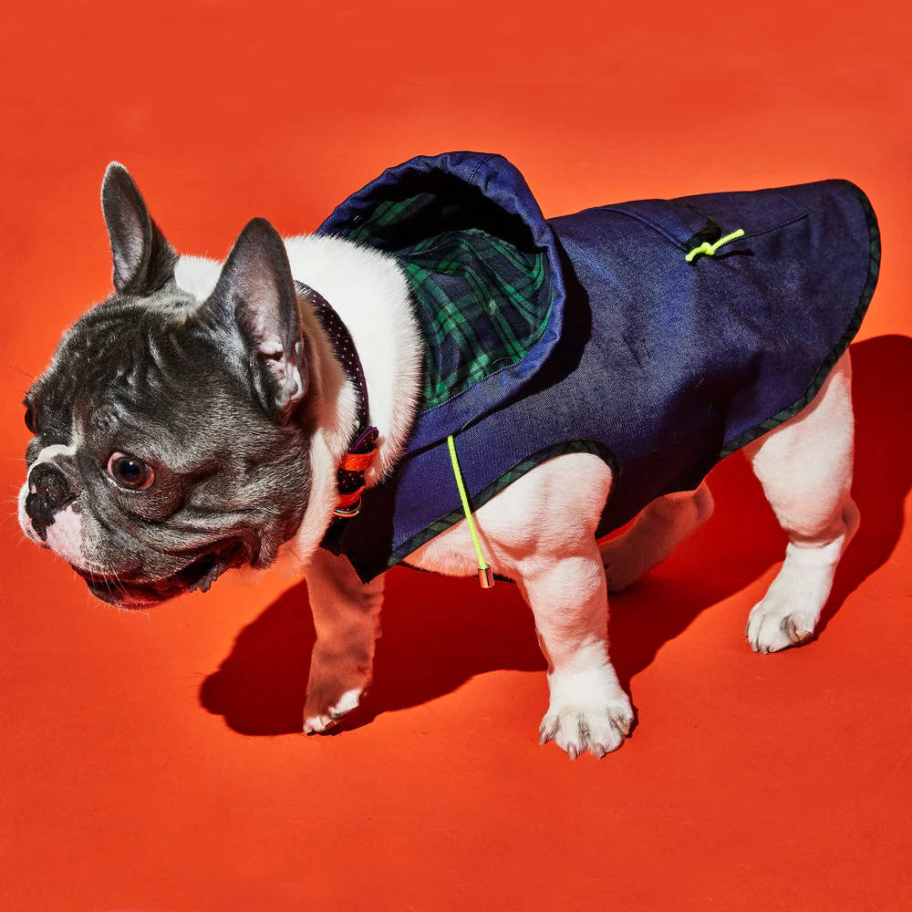 WARE OF THE DOG | Blue Anorak Raincoat with Tartan Trim - Image 5