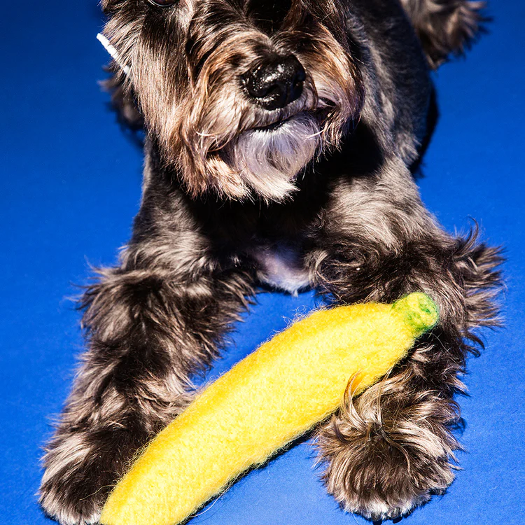 Boiled Wool Banana Dog Toy (FINAL SALE) - Image 3