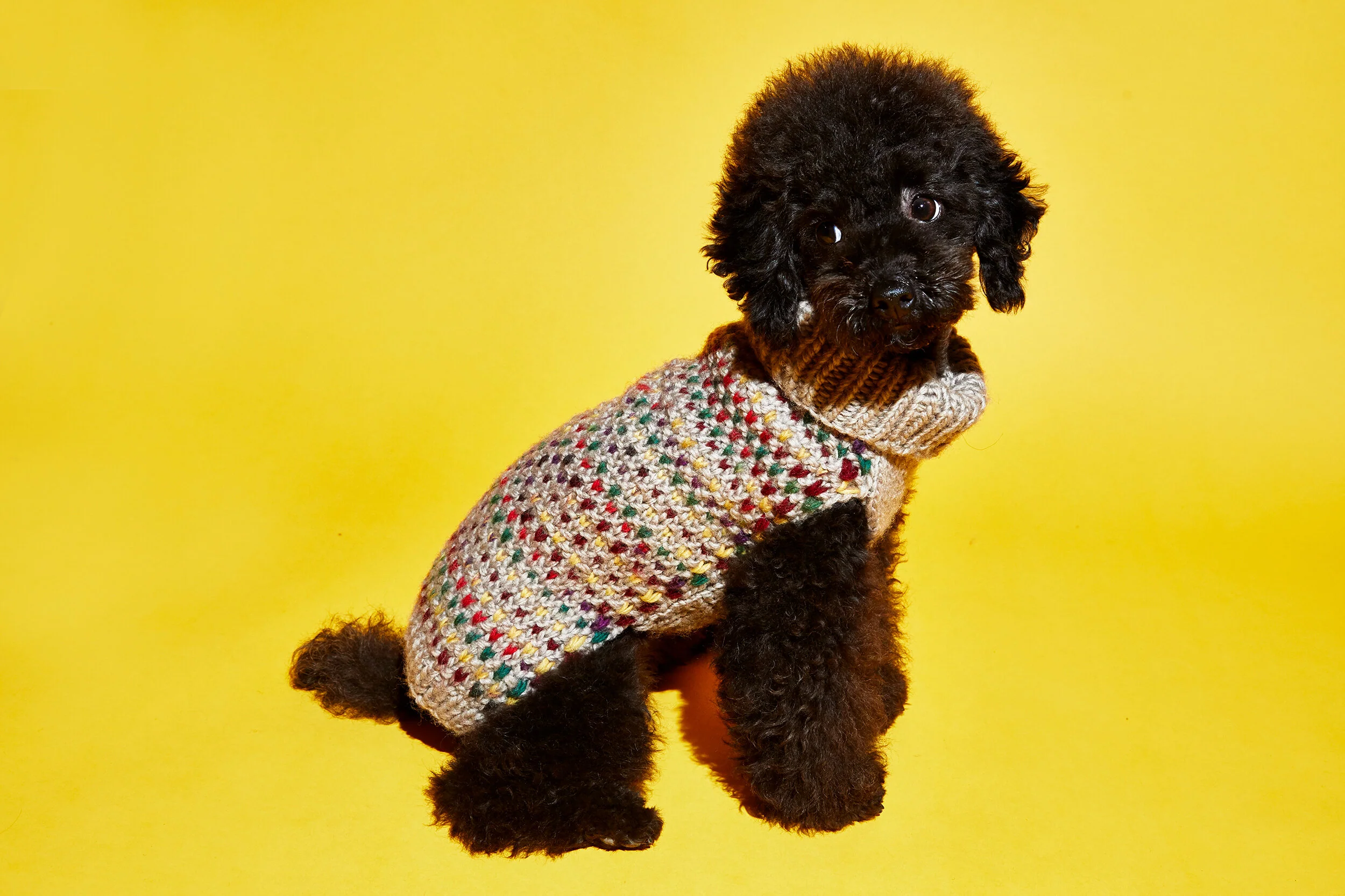 WARE OF THE DOG | Contrast Stitch Sweater - Image 3