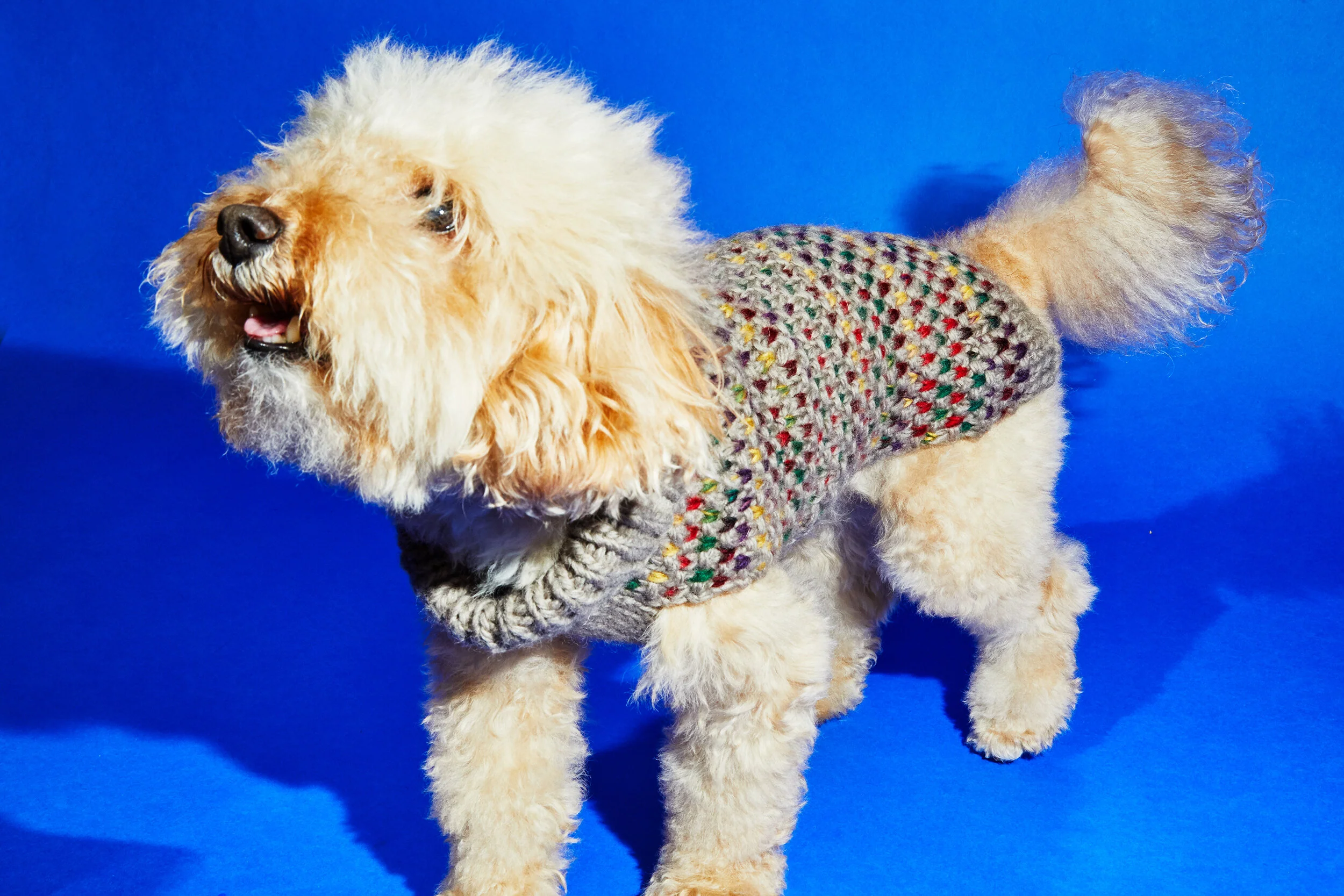WARE OF THE DOG | Contrast Stitch Sweater - Image 4