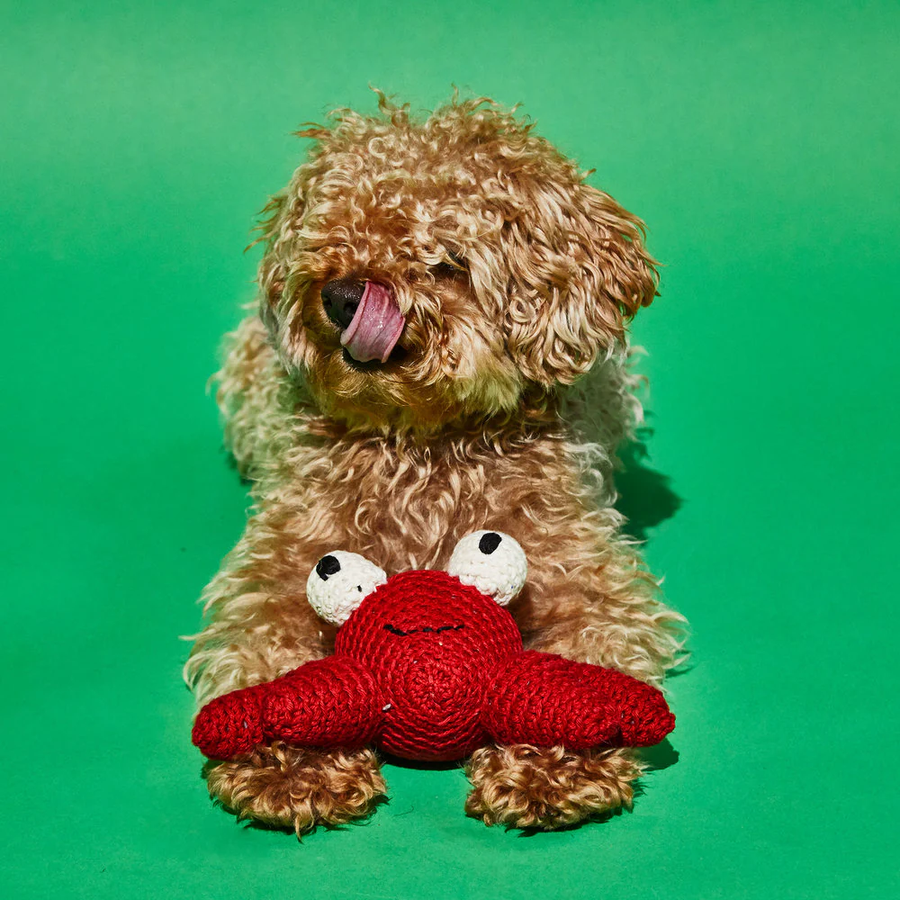 Cotton Crochet Crab Squeaky Plush Dog Toy - Image 2