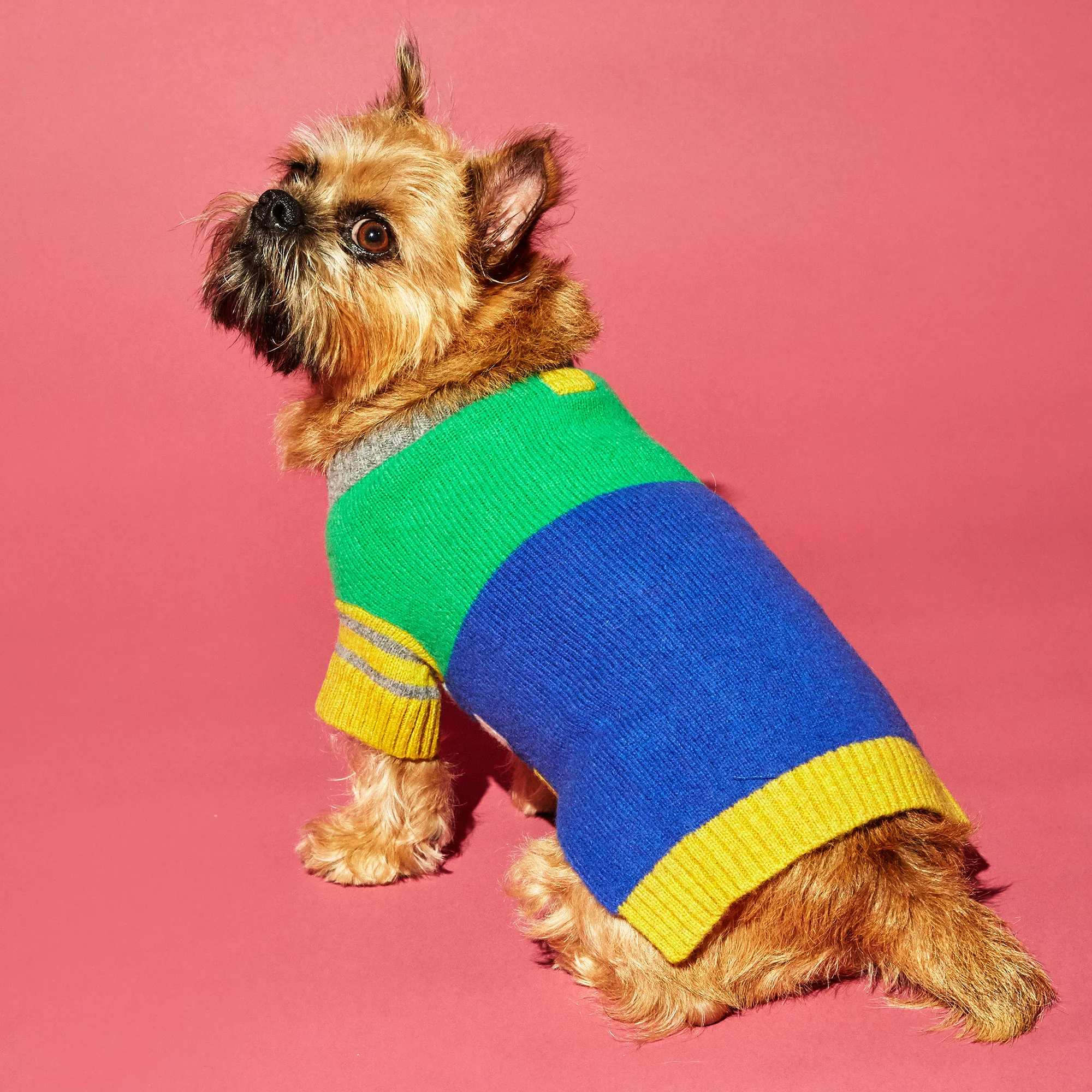 WARE OF THE DOG | Crazy Stripe Sweater in Green + Royal Blue - Image 2
