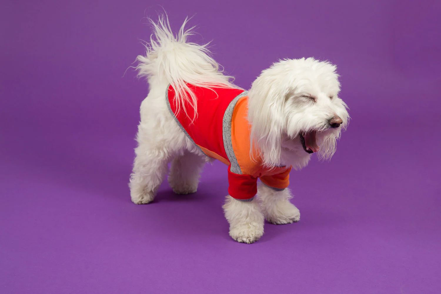 WARE of the DOG | Diagonal T Shirt in Orange and Red - Image 2