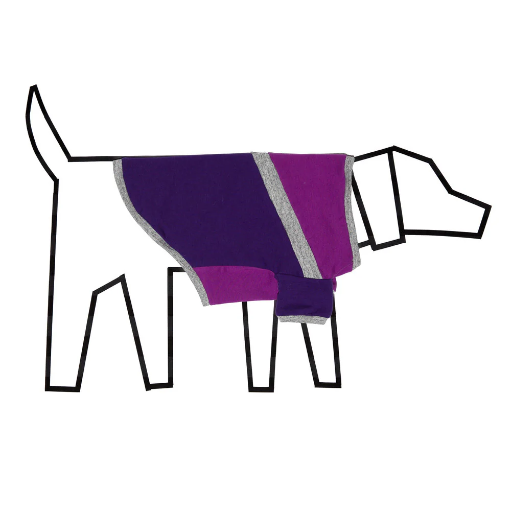 WARE of the DOG | Diagonal T Shirt in Purple - Image 2