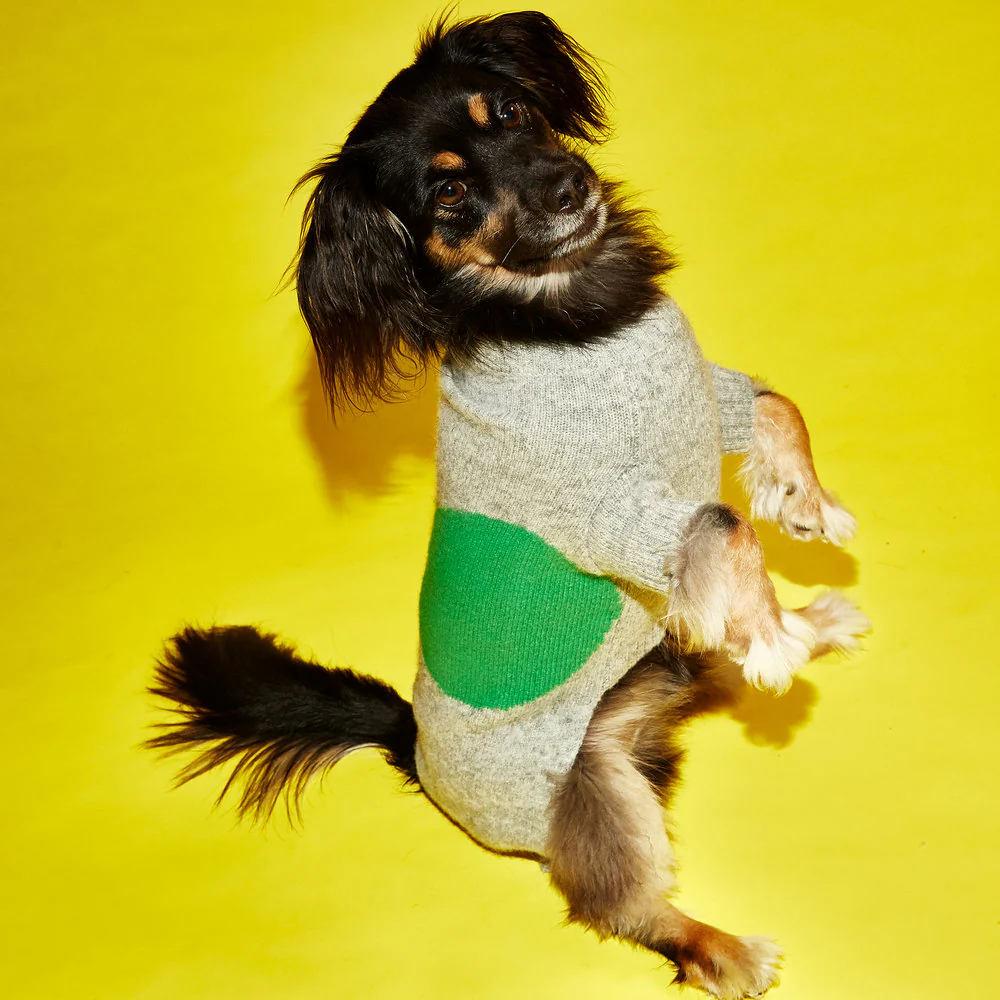WARE OF THE DOG | Dot Sweater in Grey and Green - Image 3