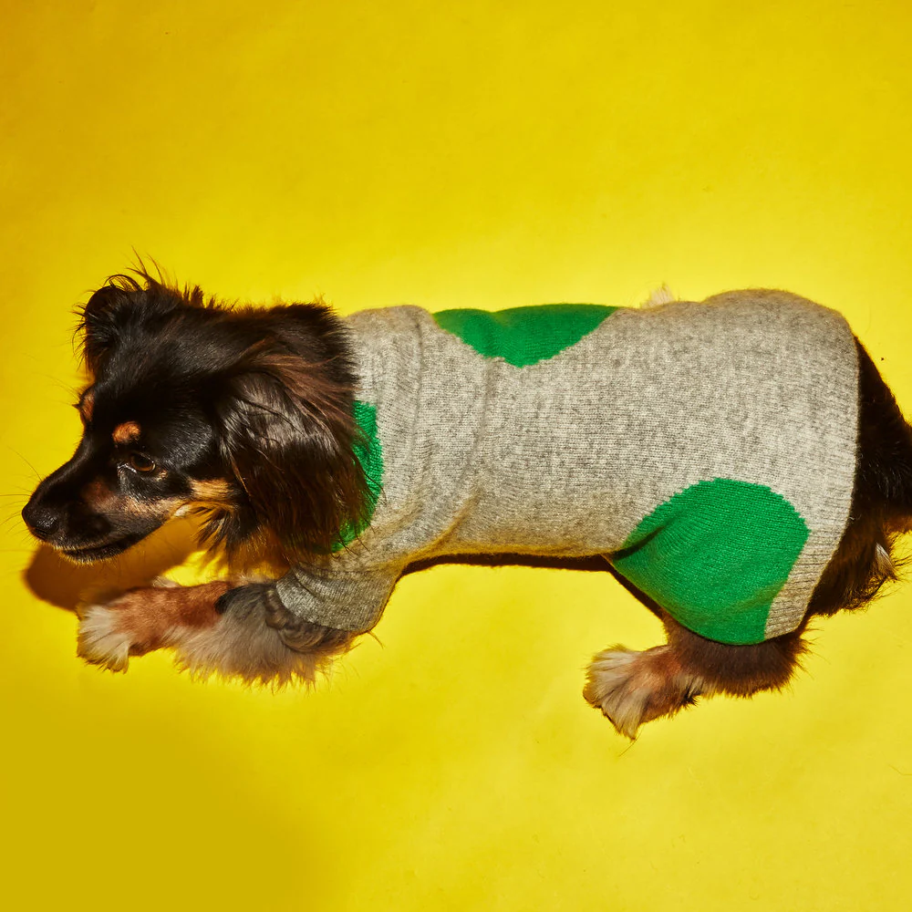 WARE OF THE DOG | Dot Sweater in Grey and Green - Image 4