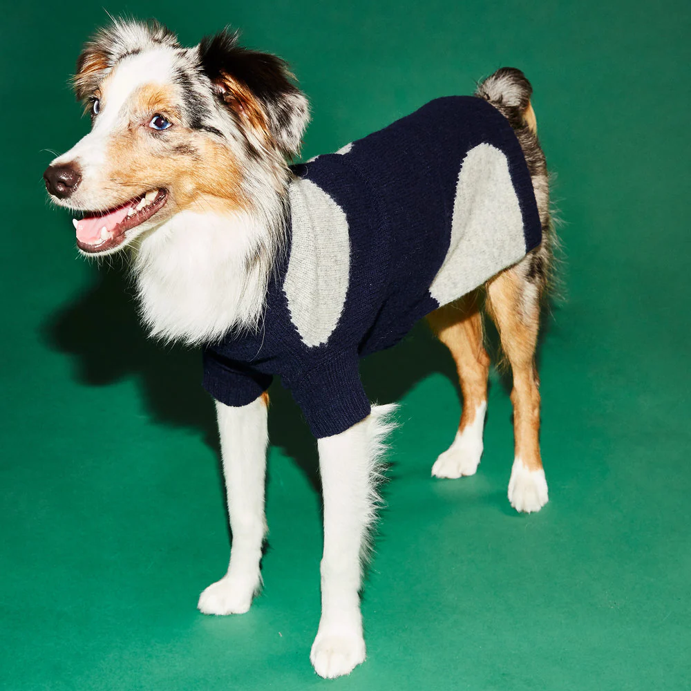 WARE OF THE DOG | Dot Sweater in Navy and Grey - Image 2