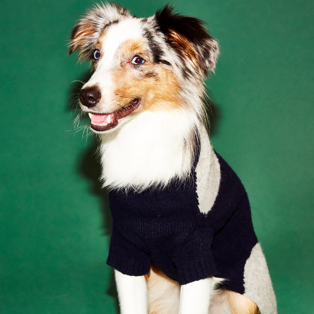 WARE OF THE DOG | Dot Sweater in Navy and Grey - Image 3