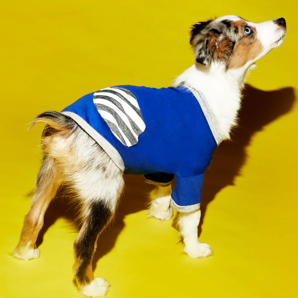 WARE of the DOG | Dot T Shirt in Blue - Image 2
