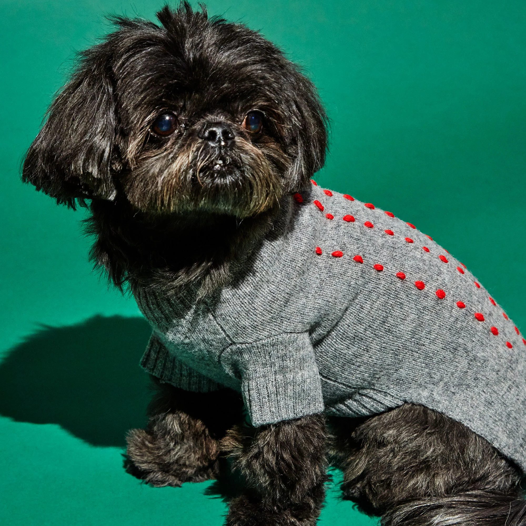 WARE OF THE DOG | Embroidered Stripe Sweater in Grey & Red - Image 2