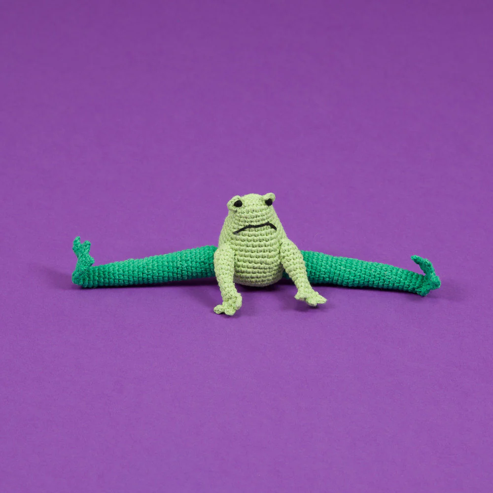 Hand Crochet Frog Dog Toy - Image 3