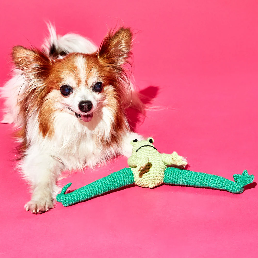 Hand Crochet Frog Dog Toy - Image 4