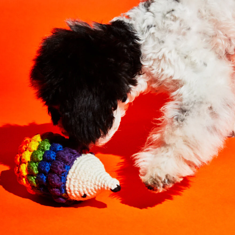 Hand Crochet Hedgehog Toy - Image 3