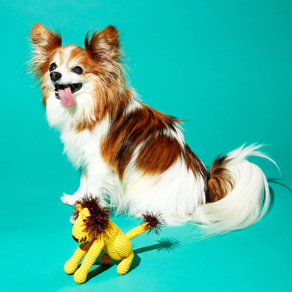Hand Crochet Lion Knit Squeaky Dog Toy - Image 2