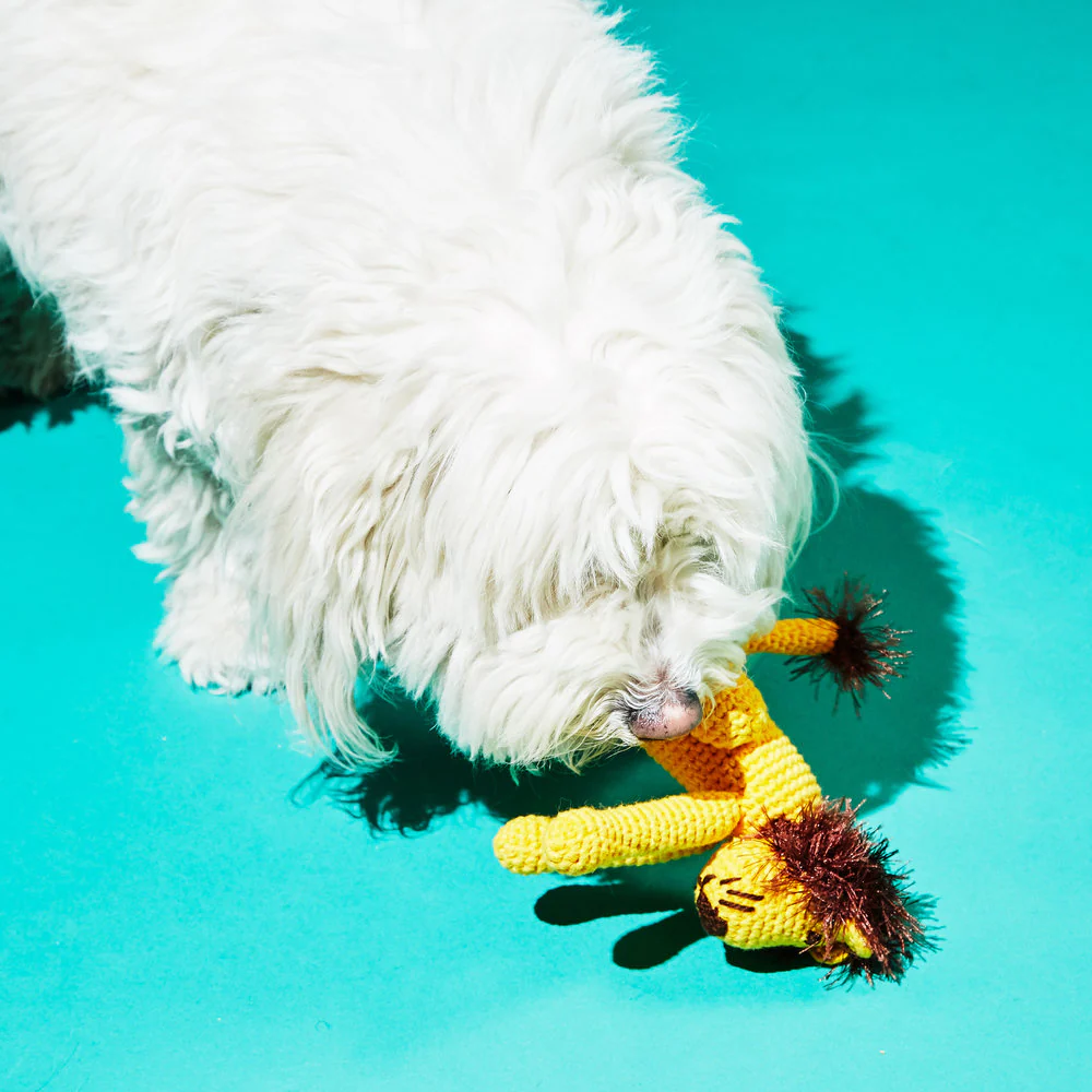 Hand Crochet Lion Knit Squeaky Dog Toy - Image 3