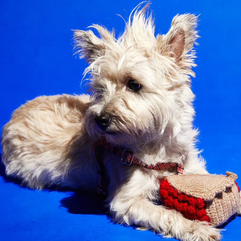 WARE of the DOG | Hand Knit Cherry Pie Toy - Image 2