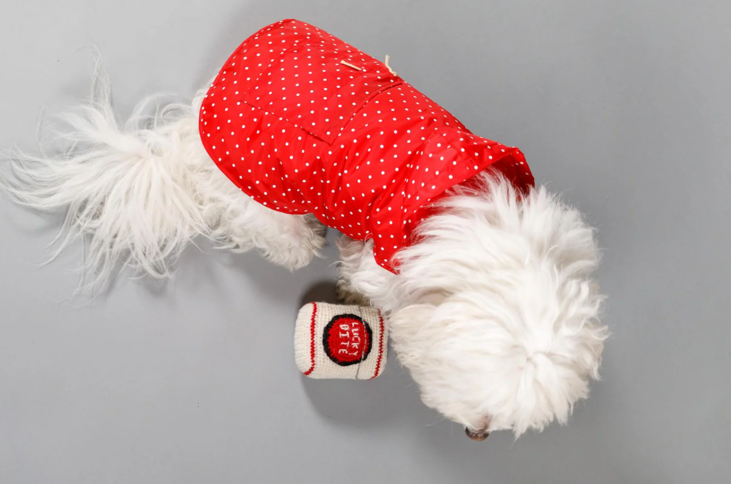 Hand Knit Lucky Bite Dog Toy - Image 4