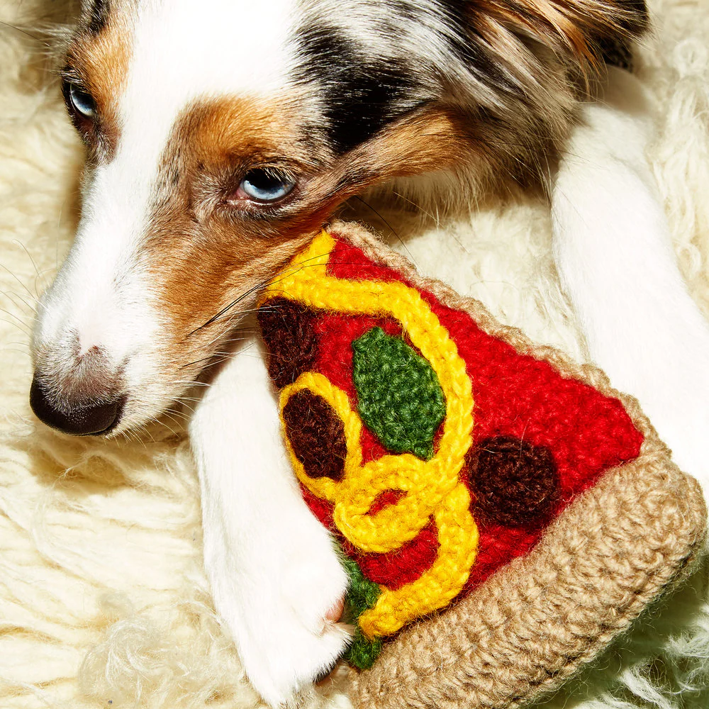 WARE of the DOG | Hand Knit Pizza - Image 2