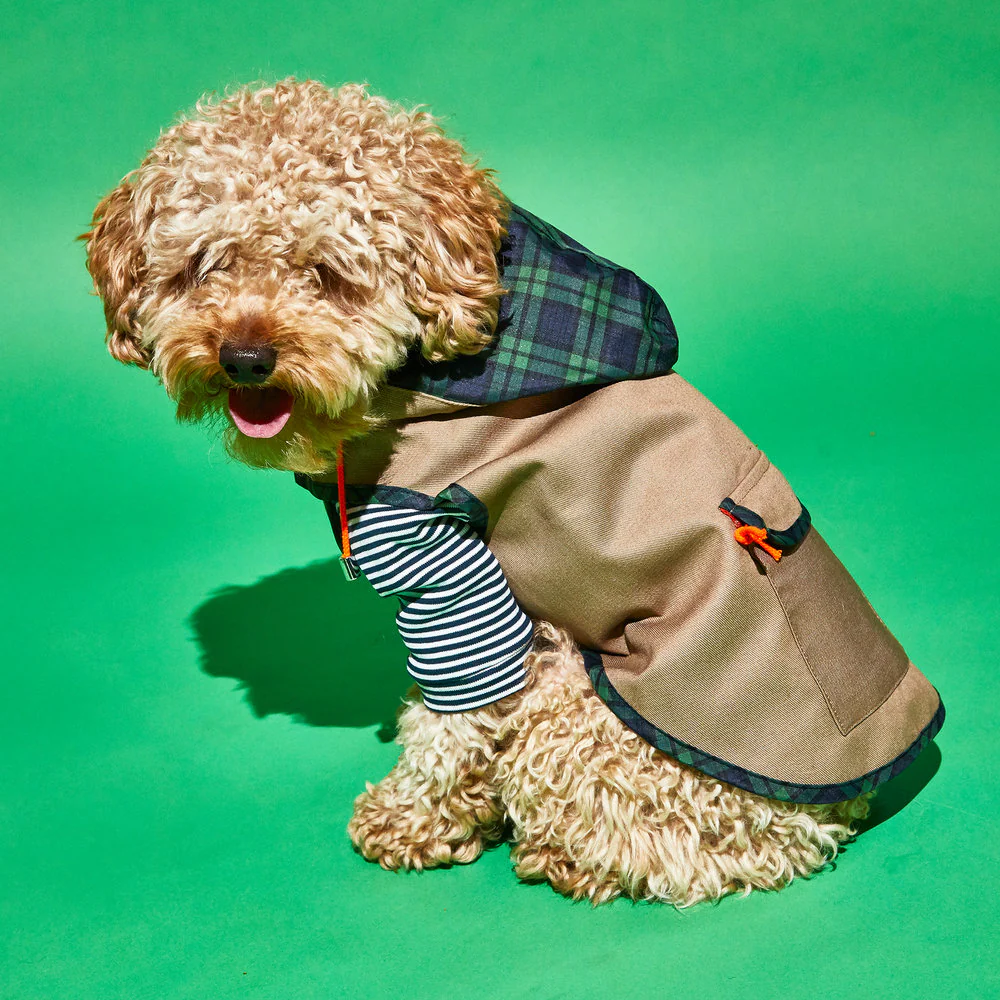 WARE OF THE DOG | Khaki Anorak Raincoat with Tartan Trim