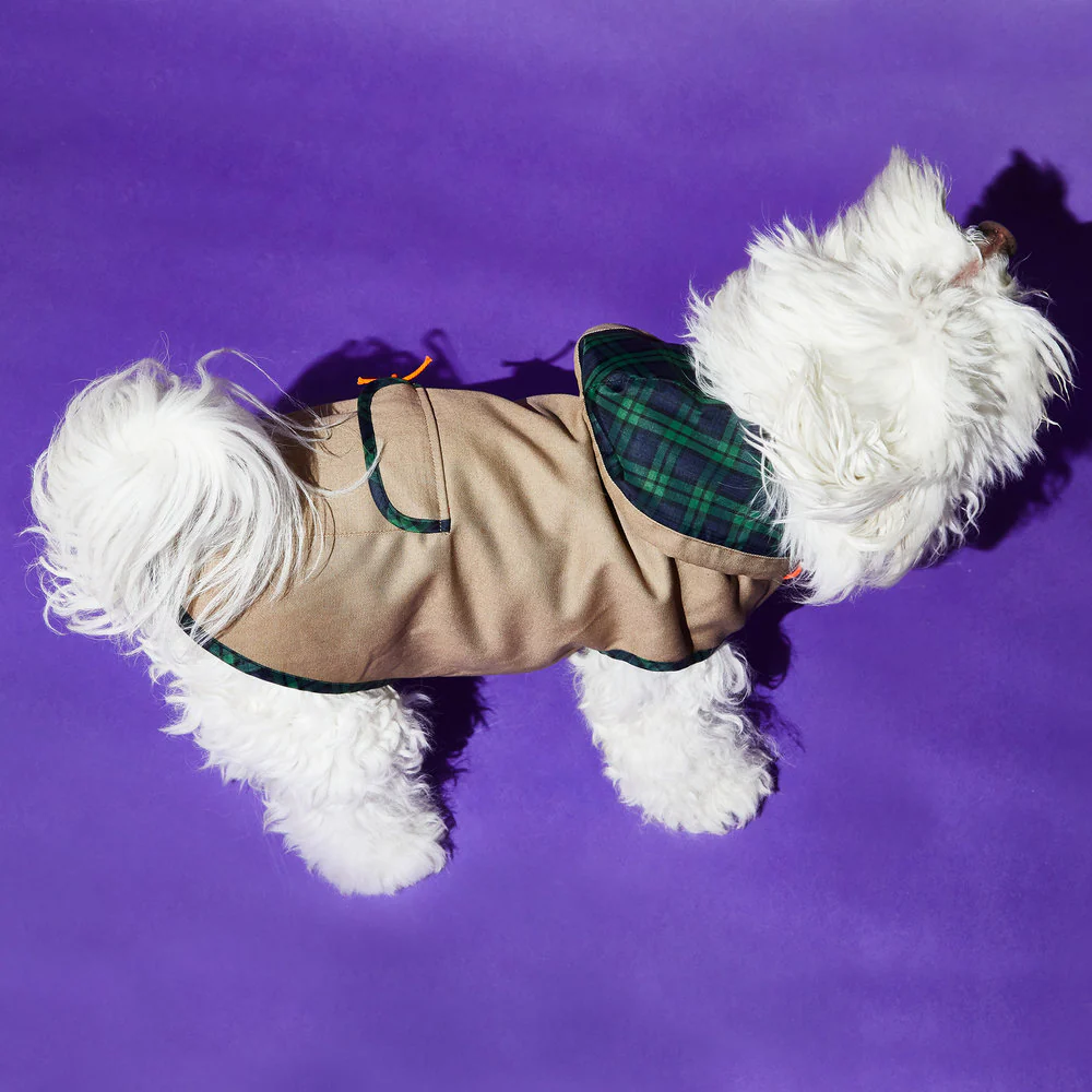 WARE OF THE DOG | Khaki Anorak Raincoat with Tartan Trim - Image 4