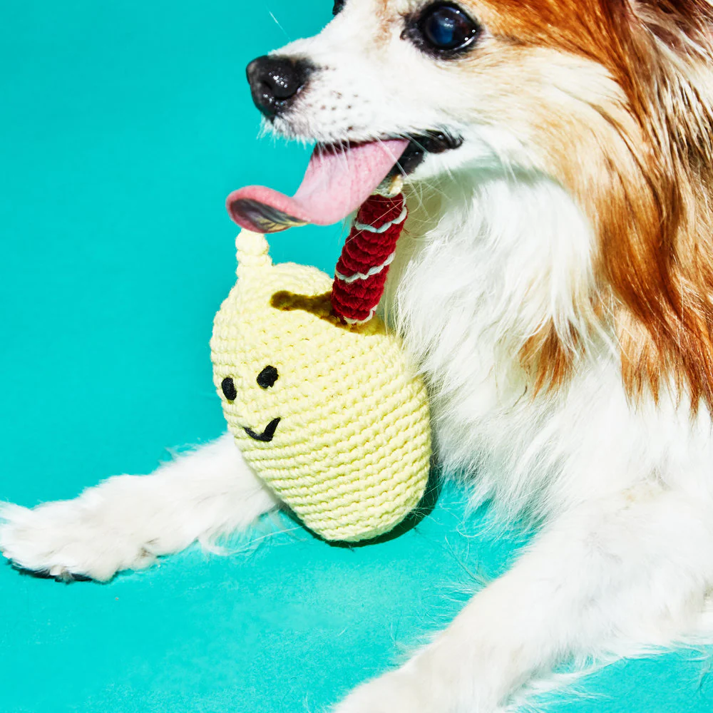 WARE OF THE DOG | Hand Crochet Lemonade Toy - Image 2