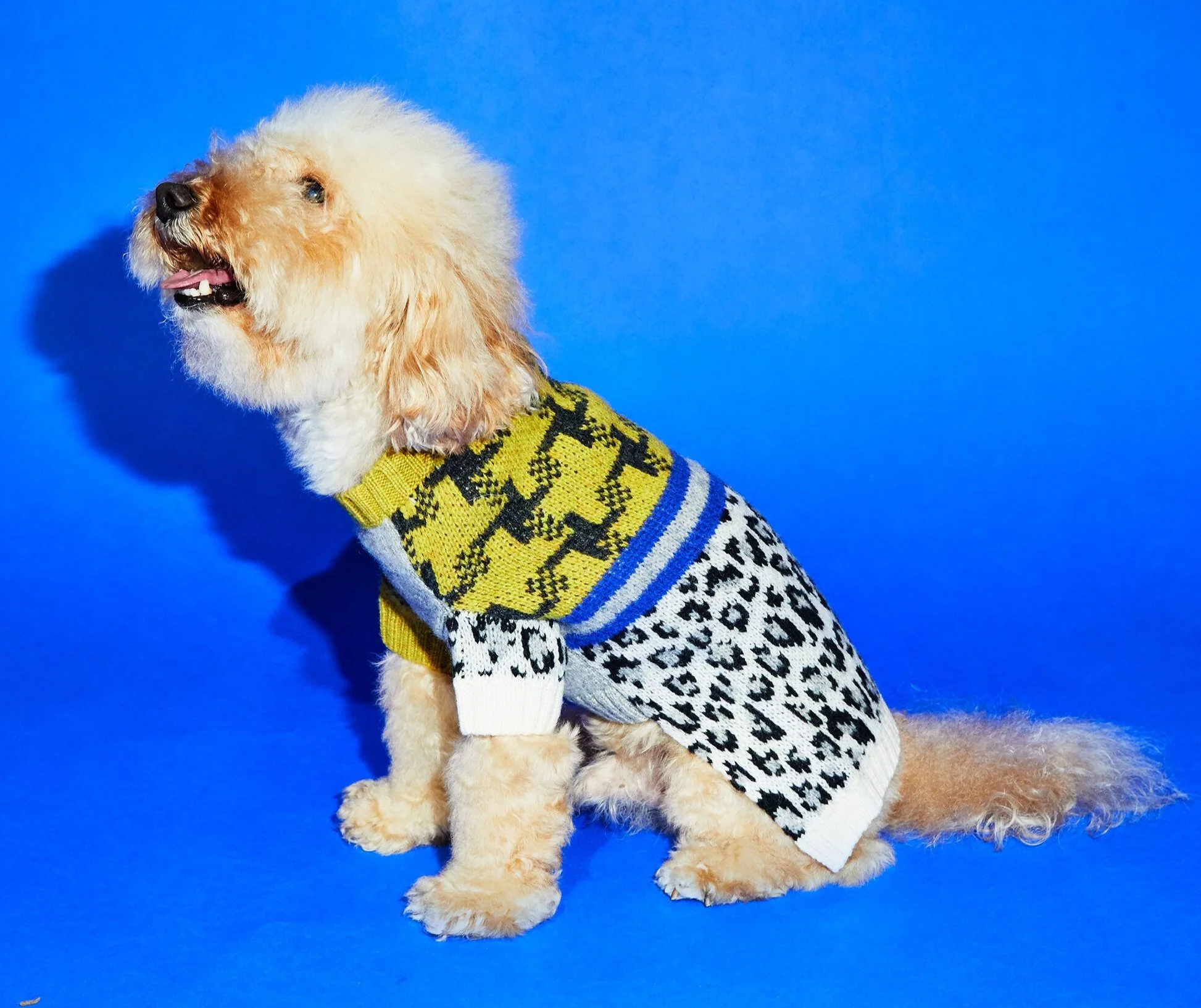 Leopard Combo Sweater (FINAL SALE) - Image 3