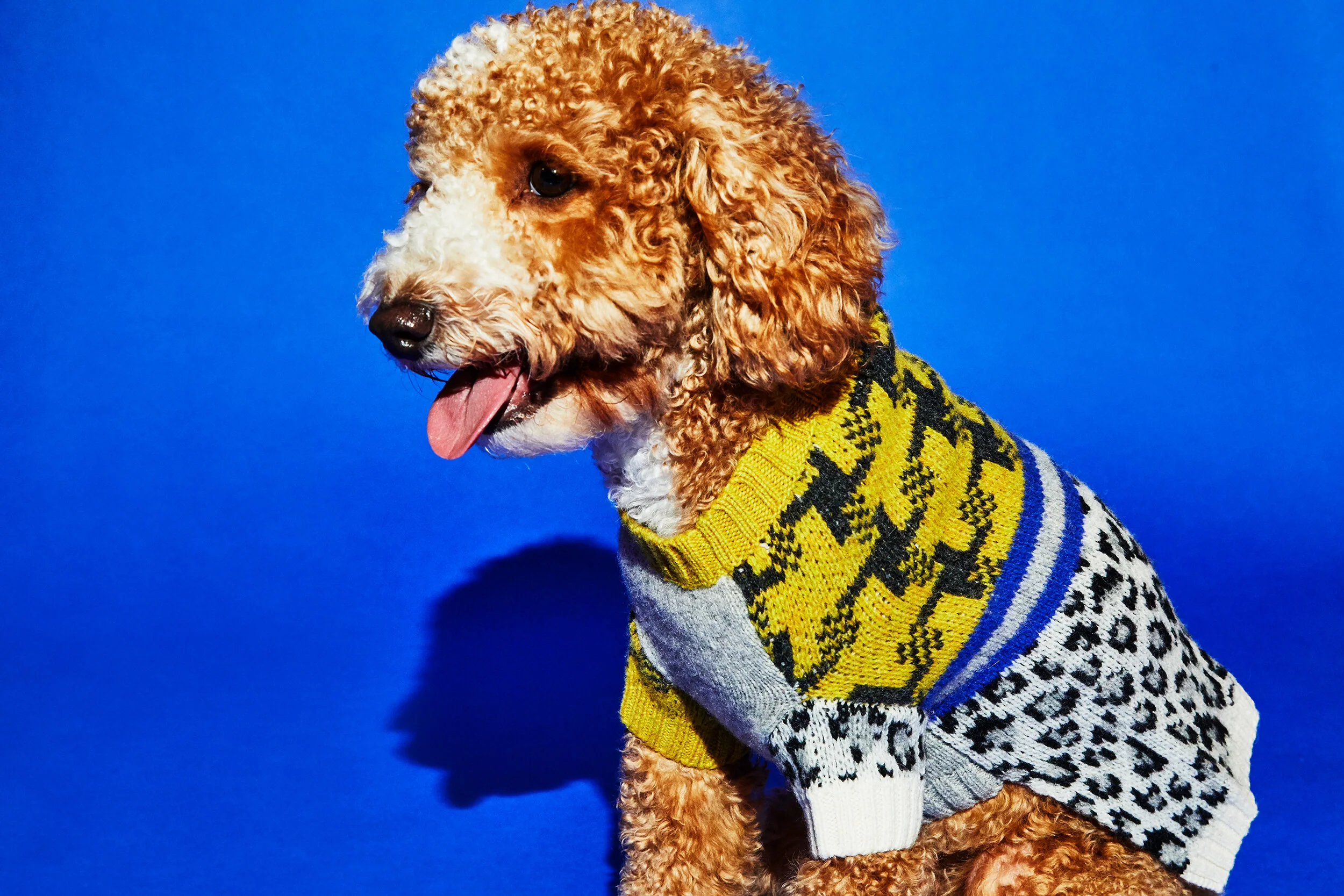 Leopard Combo Sweater (FINAL SALE) - Image 4