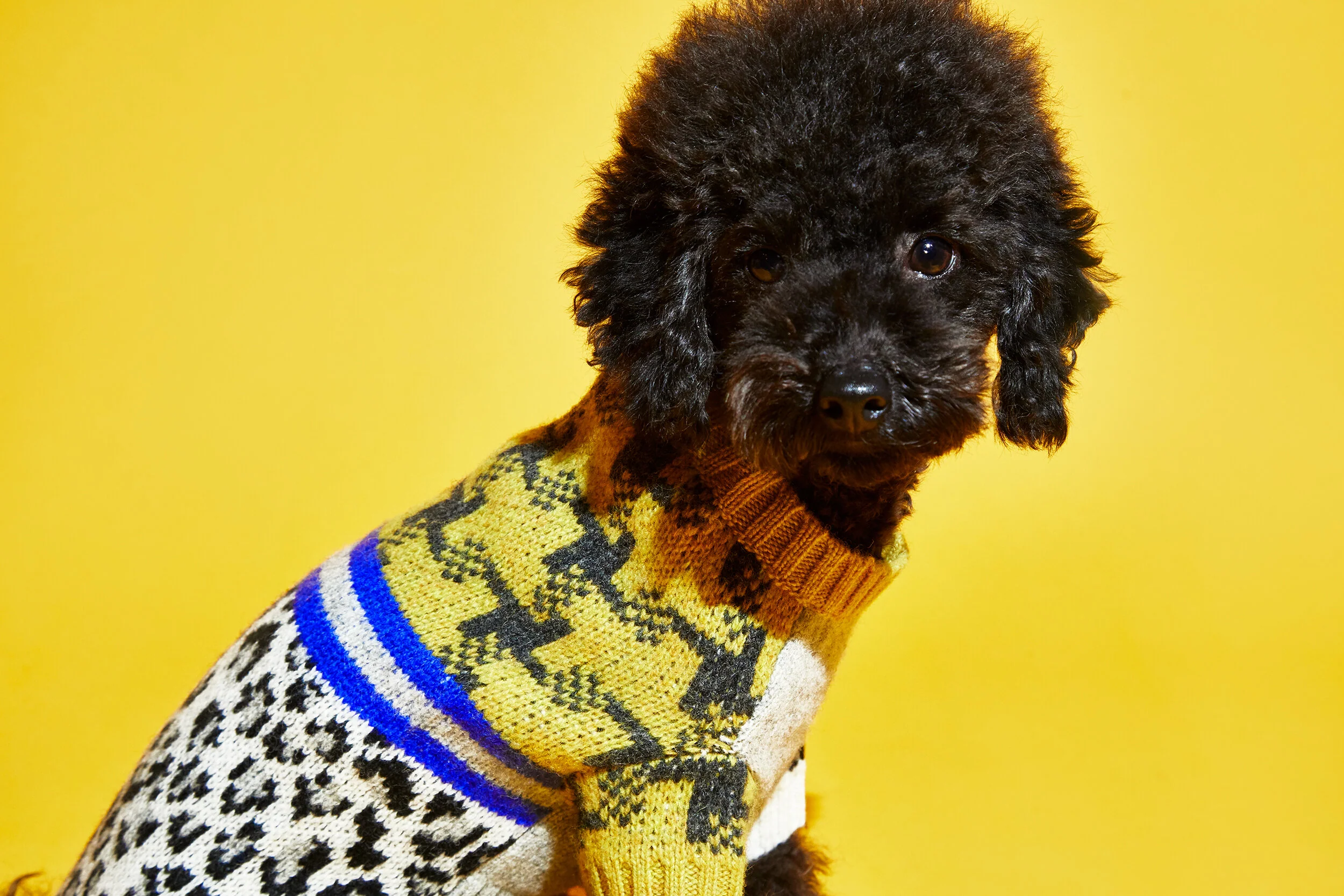 Leopard Combo Sweater (FINAL SALE) - Image 5
