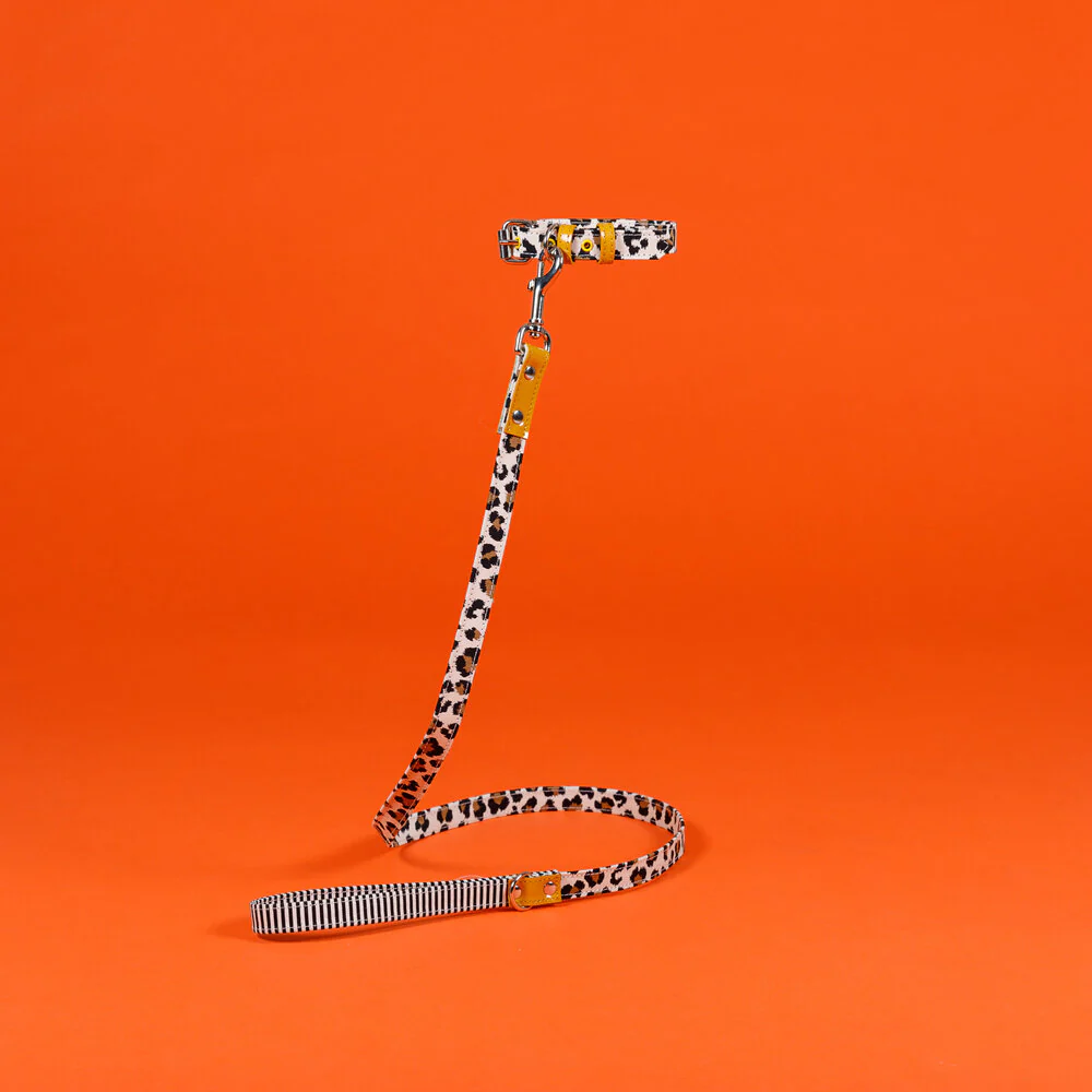 Leopard and Stripe Leash - Image 2