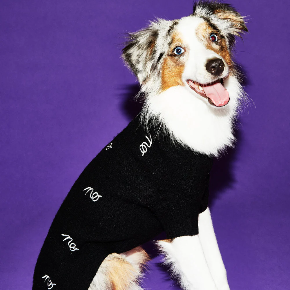 WARE OF THE DOG | No Sweater in Black and White - Image 2
