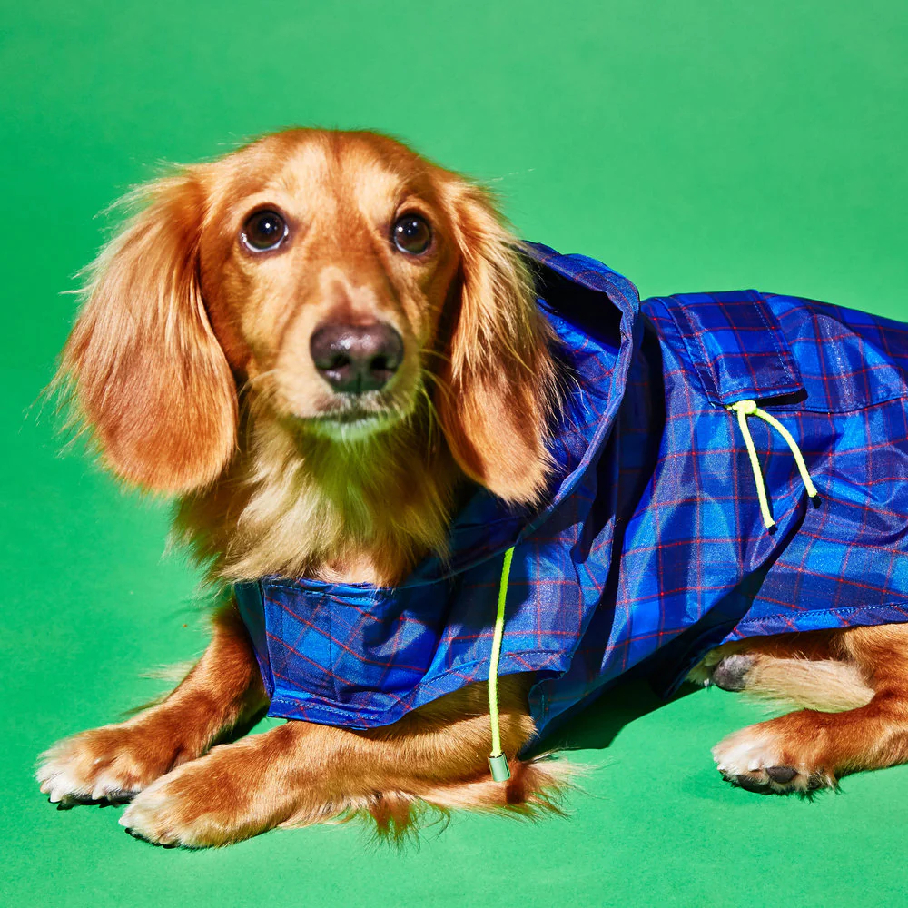 WARE OF THE DOG | Plaid Anorak Raincoat in Purple/Multi - Image 2
