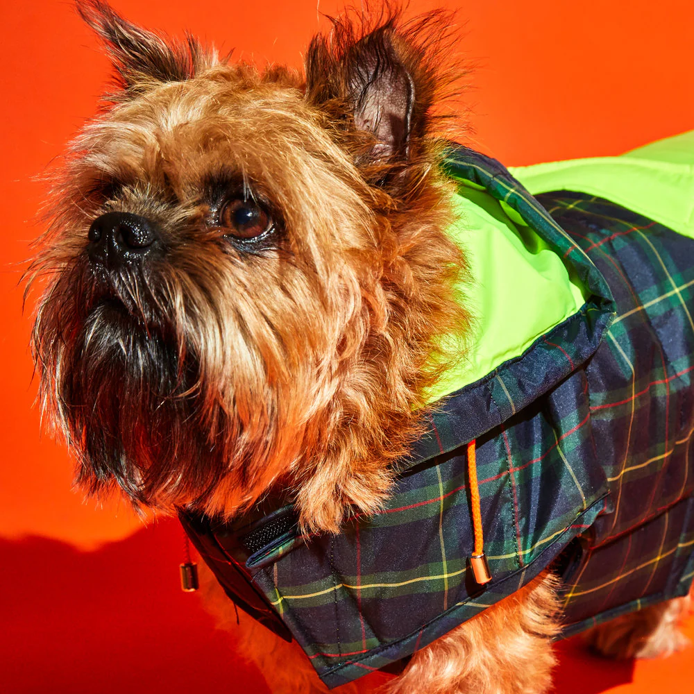 Plaid/Neon Nylon Puffer (FINAL SALE) - Image 2