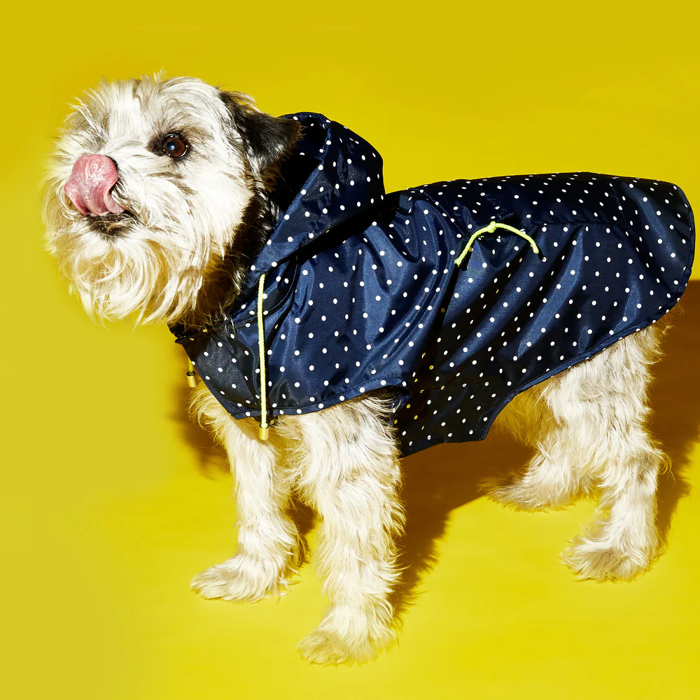 WARE OF THE DOG | Polka Dot Anorak Raincoat in Navy - Image 3
