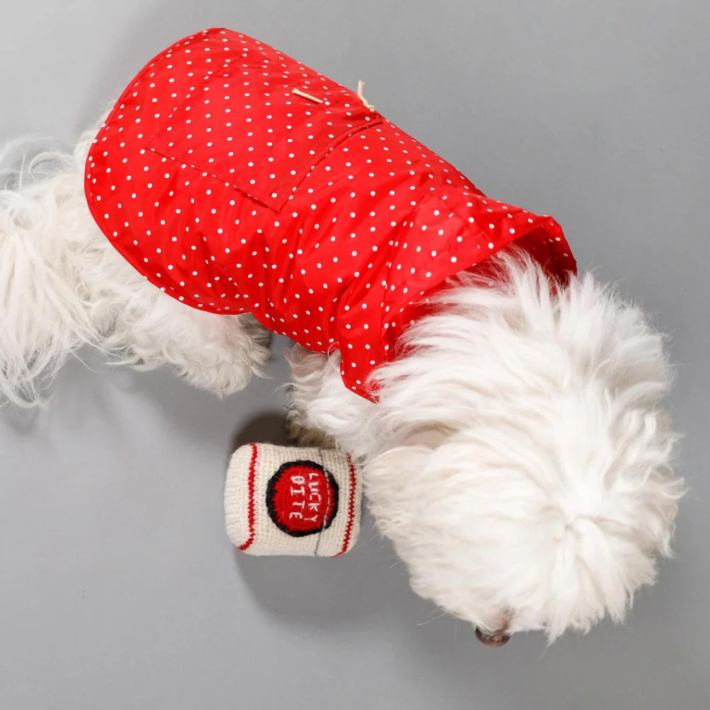 Polka Dot Anorak Dog Raincoat in Red << FINAL SALE >> - Image 3