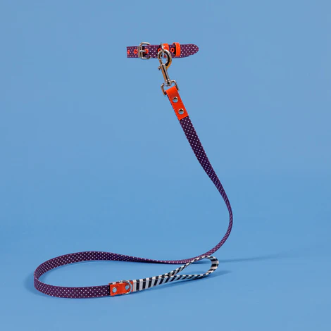 WARE of the DOG | Polka Dot Canvas Collar - Image 4